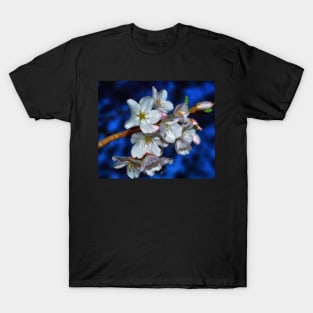 Crabapple Spring T-Shirt